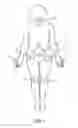 Fig. 02 - Methods for treating conditions such as dystonia and post-stroke spasticity with clonidine