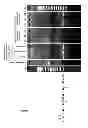 Fig. 07 - Tricyclo-phosphorothioate DNA