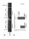Fig. 08 - Tricyclo-phosphorothioate DNA
