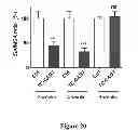 Fig. 20 - Tricyclo-phosphorothioate DNA