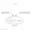 Fig. 06 - Vectors harboring toxic genes, methods and uses therefor