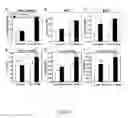 Fig. 05 - Methods and compositions for inducing brown adipogenesis