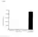 Fig. 09 - Epidermal growth factor receptor (EGFR) and methods of use in adenoviral-associated virus type 6 (AAV6) transduction