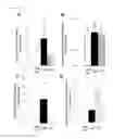 Fig. 02 - Prophylactic and/or therapeutic agent for cardiovascular complications of diabetes