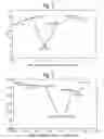 Fig. 03 - Pharmaceutical formulation comprising NSAID and cyclodextrin