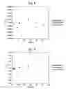 Fig. 04 - Pharmaceutical formulation comprising NSAID and cyclodextrin