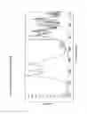 Fig. 06 - Crystalline Forms of (-)-(1R,2R)-3-(3-dimethylamino-1-ethyl-2-methylpropyl)-phenol hydrochloride
