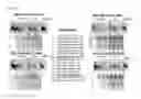 Fig. 03 - Prion free nanoparticle compositions and methods of making thereof