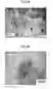 Fig. 03 - Support for supporting metals, metal-supported catalyst, methanation reaction apparatus, and method relating to these