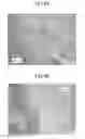 Fig. 05 - Support for supporting metals, metal-supported catalyst, methanation reaction apparatus, and method relating to these