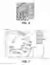 Fig. 06 - FLEXOGRAPHIC PRINTING PROCESS WITH WET ON WET CAPABILITY