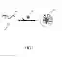Fig. 02 - Pharmaceutical composition of chelating complex micelles