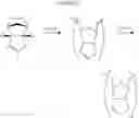 Fig. 04 - Cycloolefin polymer compound and method of preparing the same
