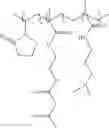 Fig. 42 - Lactamic polymer containing an acetoacetate moiety