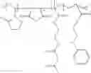 Fig. 56 - Lactamic polymer containing an acetoacetate moiety