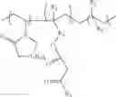 Fig. 66 - Lactamic polymer containing an acetoacetate moiety