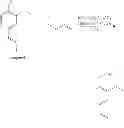 Fig. 18 - Monomers and polymers derived from natural phenols