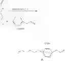 Fig. 20 - Monomers and polymers derived from natural phenols