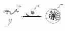 Fig. 01 - Chelating complex micelles drug carrier