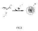 Fig. 02 - Chelating complex micelles drug carrier