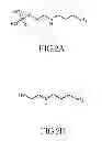 Fig. 03 - Chelating complex micelles drug carrier