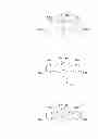 Fig. 02 - Catalyst compositions for the polymerization of olefins