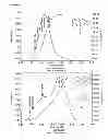 Fig. 02 - MULTINUCLEAR METALLOCENE CATALYST COMPOUND FOR OLEFIN POLYMERISATION AND COPOLYMERISATION AND METHOD FOR MAKING THEREOF