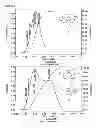 Fig. 03 - MULTINUCLEAR METALLOCENE CATALYST COMPOUND FOR OLEFIN POLYMERISATION AND COPOLYMERISATION AND METHOD FOR MAKING THEREOF