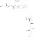 Fig. 43 - Degradable polycations derived from amino acid vinyl esters