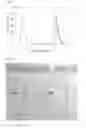 Fig. 09 - Chromatography medium