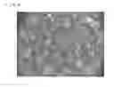 Fig. 04 - Polyacrylic acid-based water-absorbing resin powder and method for producing the same
