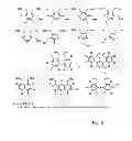 Fig. 07 - METHOD FOR SELECTING A CANDIDATE DRUG COMPOUND