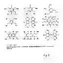 Fig. 09 - METHOD FOR SELECTING A CANDIDATE DRUG COMPOUND