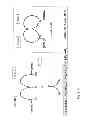 Fig. 12 - METHOD FOR SELECTING A CANDIDATE DRUG COMPOUND