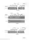 Fig. 05 - METHOD TO SCREEN FOR SELECTIVE PEPTIDES THAT  INHIBIT THE BIOLOGICAL ACTIVITY OF CALCINEURIN