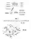 Fig. 02 - Cyclin Based Inhibitors of CDK2 and CDK4