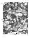 Fig. 04 - Cyclin Based Inhibitors of CDK2 and CDK4