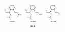 Fig. 07 - Cyclin Based Inhibitors of CDK2 and CDK4