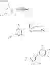 Fig. 12 - Cyclin Based Inhibitors of CDK2 and CDK4
