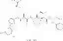 Fig. 23 - Cyclin Based Inhibitors of CDK2 and CDK4