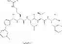 Fig. 24 - Cyclin Based Inhibitors of CDK2 and CDK4