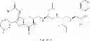 Fig. 27 - Cyclin Based Inhibitors of CDK2 and CDK4