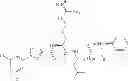 Fig. 71 - Cyclin Based Inhibitors of CDK2 and CDK4