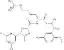 Fig. 83 - Cyclin Based Inhibitors of CDK2 and CDK4