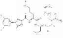 Fig. 84 - Cyclin Based Inhibitors of CDK2 and CDK4