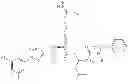 Fig. 86 - Cyclin Based Inhibitors of CDK2 and CDK4