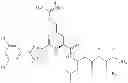 Fig. 87 - Cyclin Based Inhibitors of CDK2 and CDK4