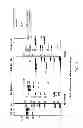 Fig. 06 - HIGHLY GALACTOSYLATED ANTIBODIES