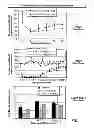 Fig. 14 - HIGHLY GALACTOSYLATED ANTIBODIES