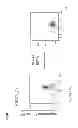 Fig. 11 - Generating metal ion binding proteins